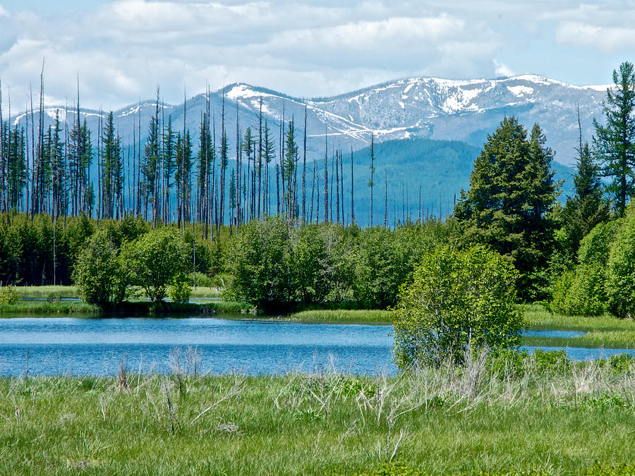 View from Meadow on Trail to Hidden Meadow in Glacier National Park
