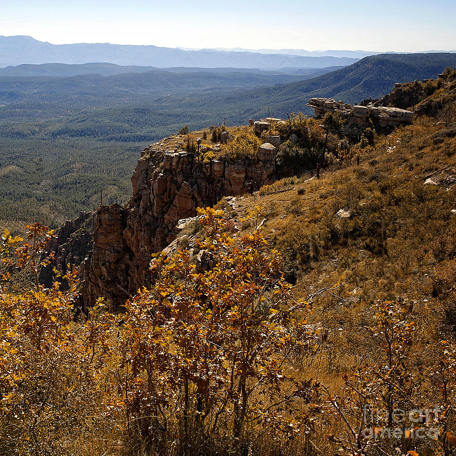 View from Mogollon Rim in Square Format Photograph by Lee Craig