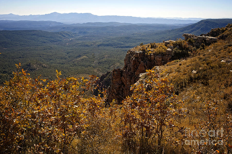 View from Mogollon Rim Photograph by Lee Craig