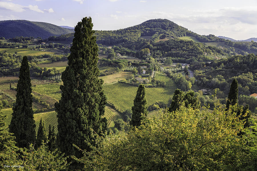 View from Montepulciono Photograph by Fran Gallogly