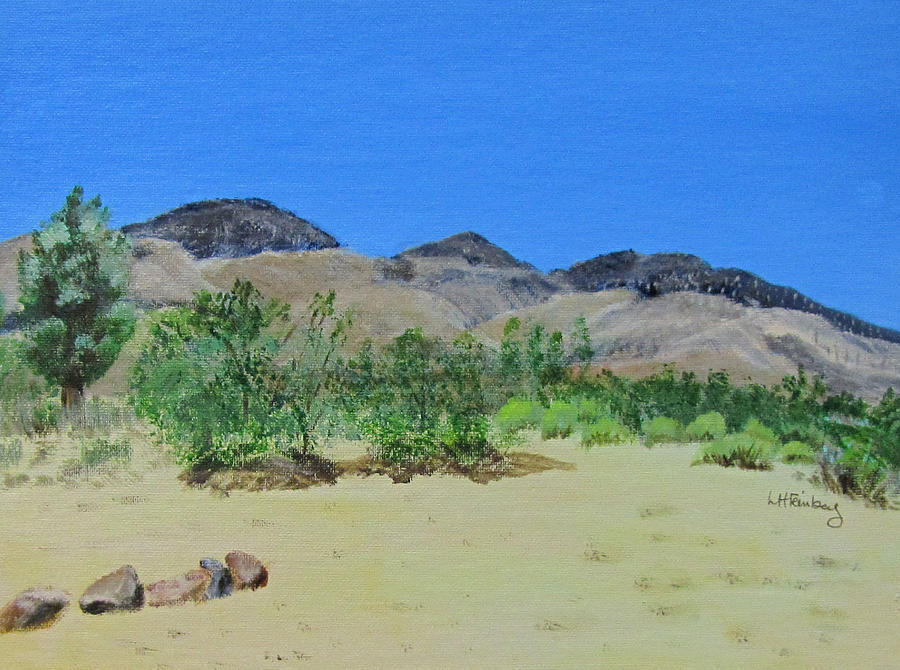 View from Sharons house - Mojave Painting by Linda Feinberg