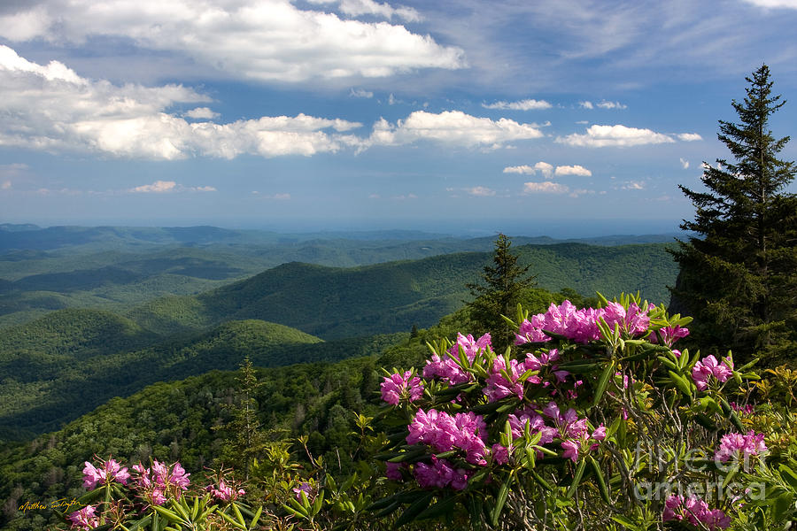 View from the Blue Ridge Parkway  Spring 2010 Photograph by Matthew Turlington