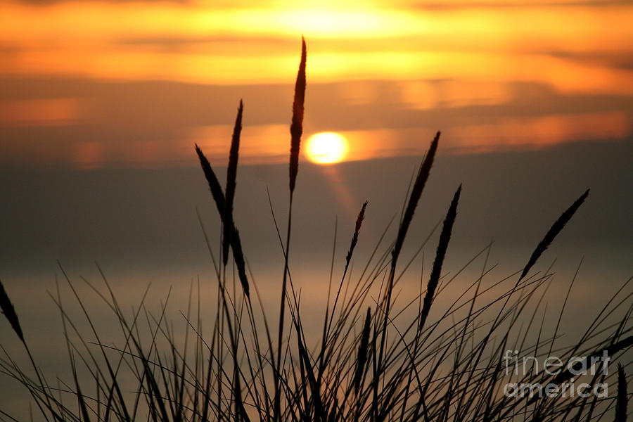 Sunset Photograph - View From the Dune by Deena Otterstetter