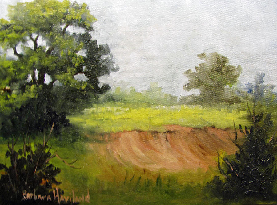 View From The Road Painting by Barbara Haviland