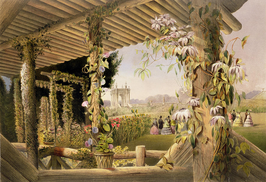 Garden Drawing - View From The Rustic Seat Shrublands by E Adveno Brooke