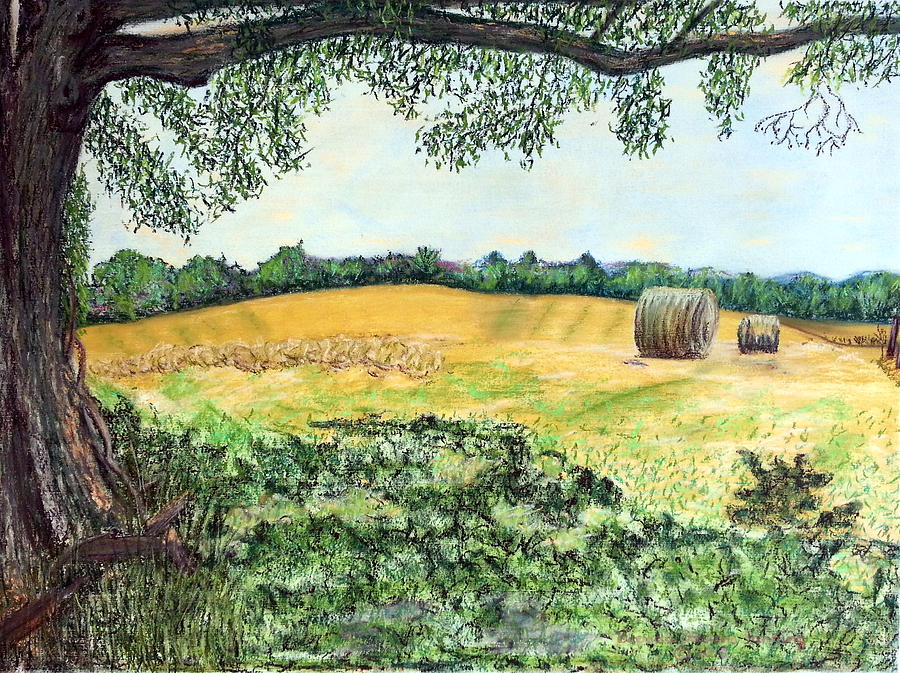 View from the Shade Painting by Brenda Stevens Fanning