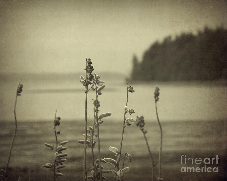View from the Shore Photograph by Patricia Strand