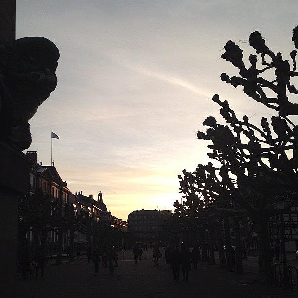 Sunset Photograph - View From The Steps Of The Opera. ☺ by Ashley Millette