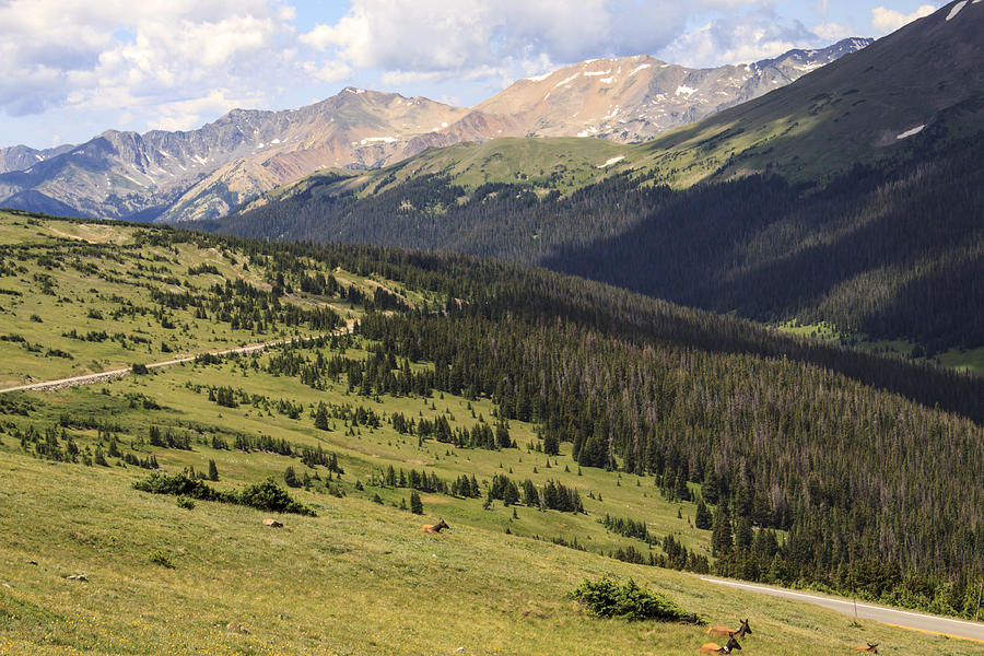 View from the Trail Ridge Road. Photograph by Richard Smith