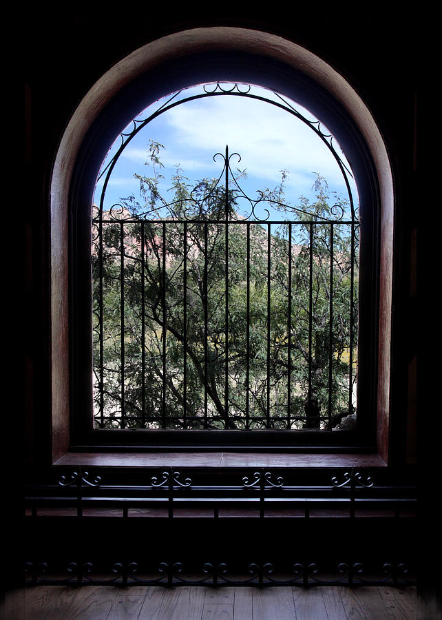 View from the Window Photograph by Joe Kozlowski