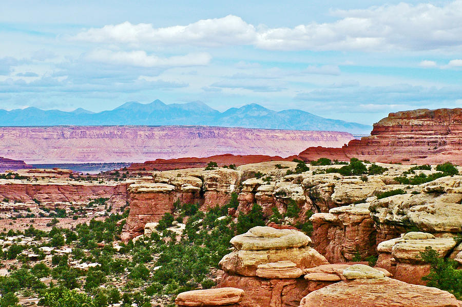 View from Trail to Elephant Hill in Needles District of Canyonlands National Park-Utah Photograph by Ruth Hager