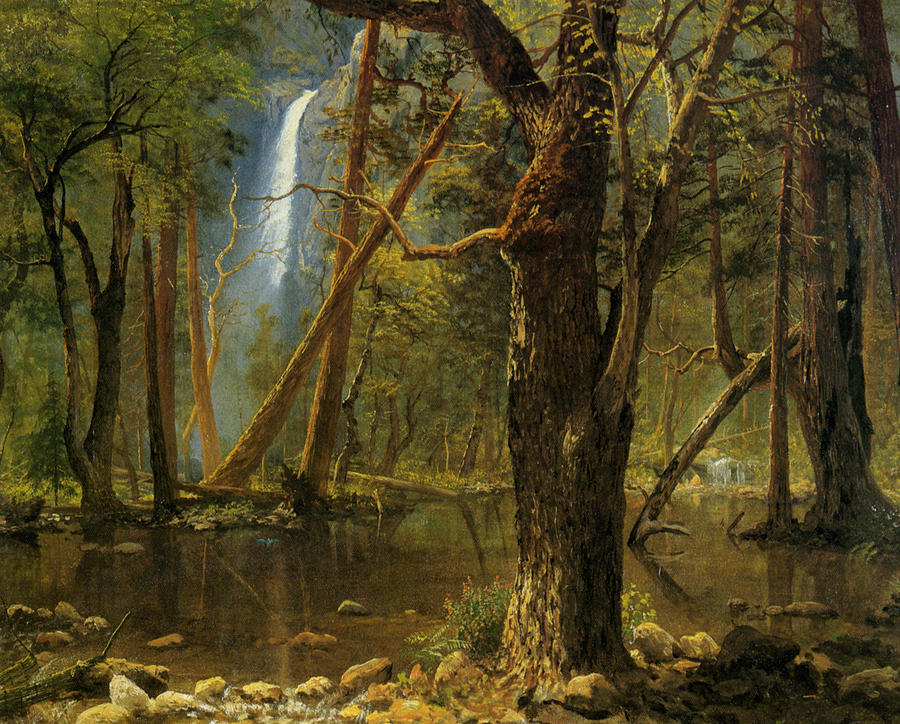 View In Yosemite Valley 1871 Digital Art by Albert Bierstadt 