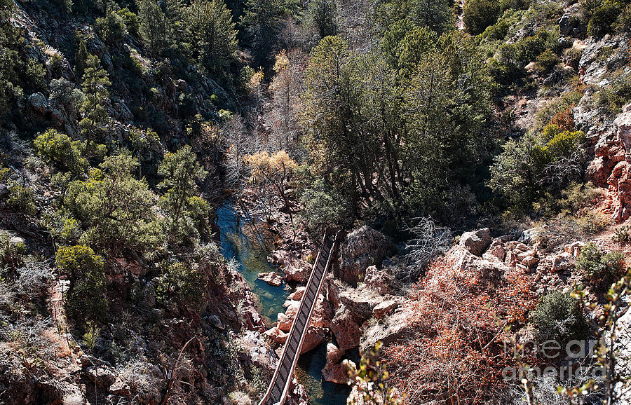 View into Pine Creek Canyon Photograph by Lee Craig