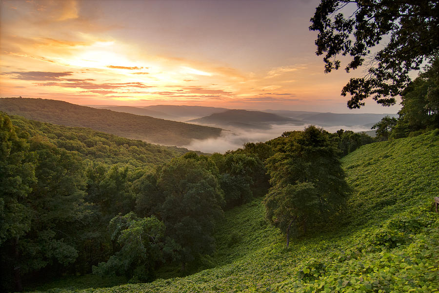 View of a foggy sunrise in the Ozark Mountains Photograph by BlazenImages