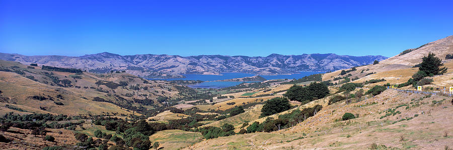 Nature Photograph - View Of A Valley, Akaroa Harbour, Banks by Panoramic Images