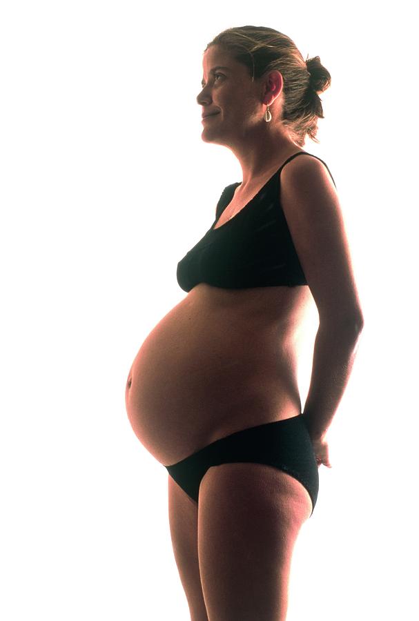 Woman Photograph - View Of A Woman 24.5 Weeks Pregnant by Stephanie Patient/gary Parker/science Photo Library