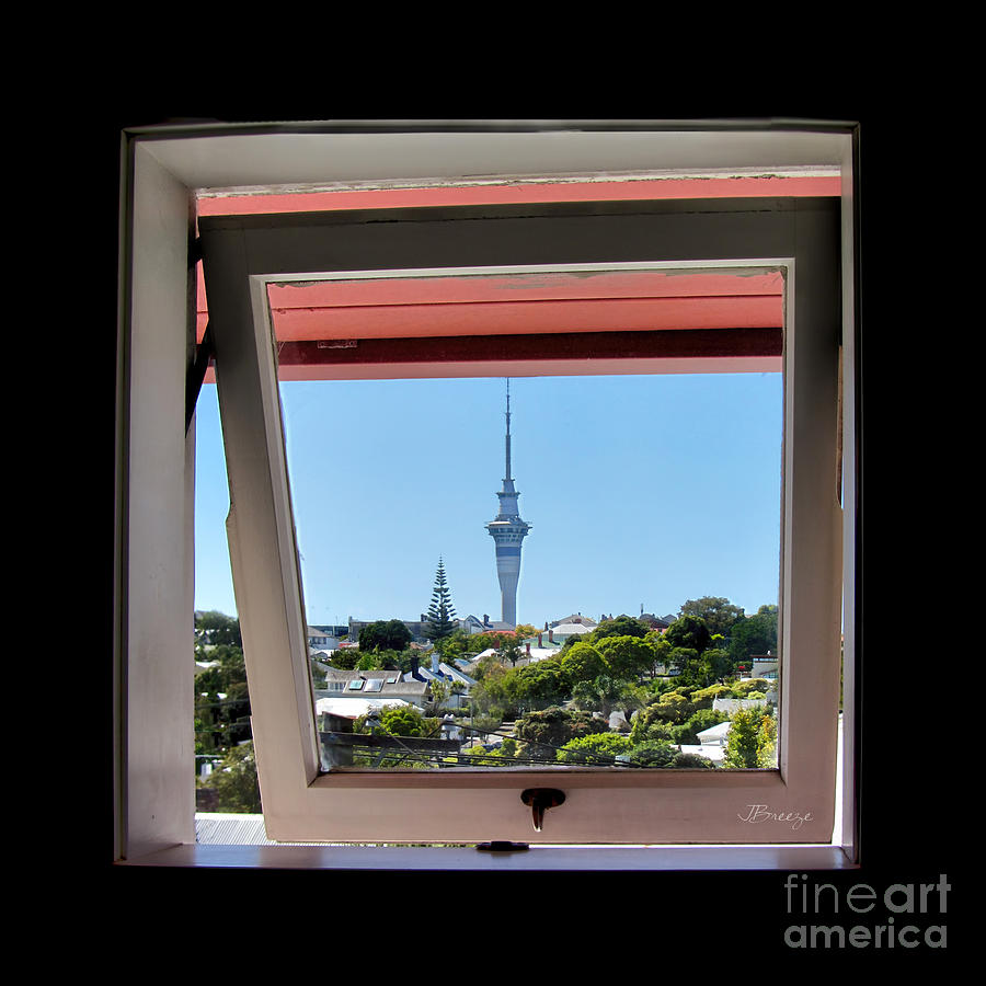 Artists View in Auckland NZ Photograph by Jennie Breeze