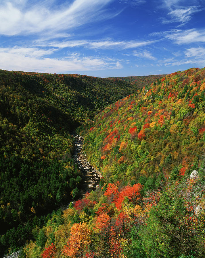 View Of Blackwater Canyon In Autumn Photograph by Danita Delimont View Of Blackwater Canyon In Autumn Photograph by Danita Delimont