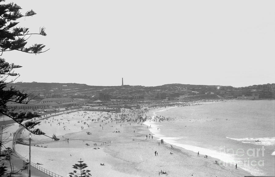 View Of Bondai Sydney Austalia 1932 Photograph