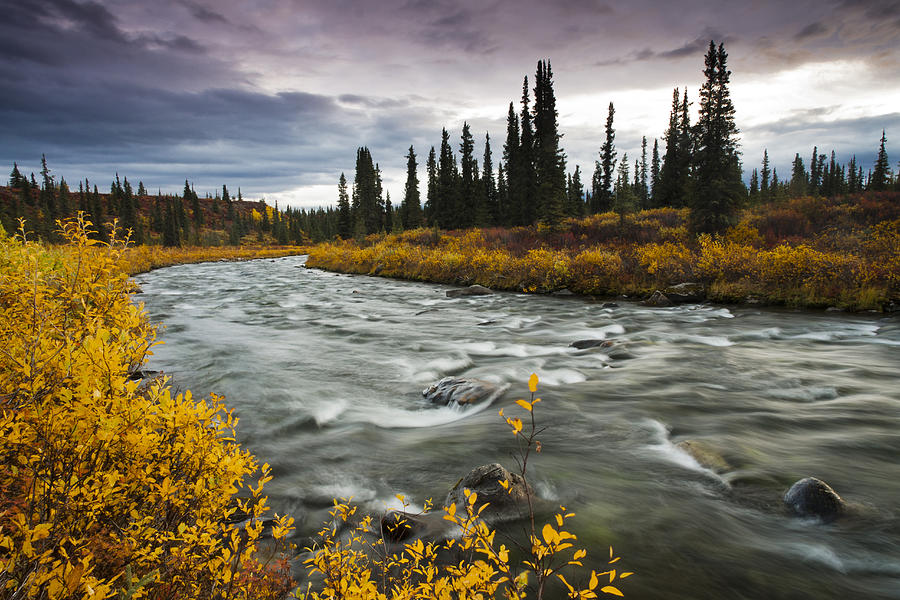 Fall Photograph - View Of Brushkana Creek In The Early by Lynn Wegener
