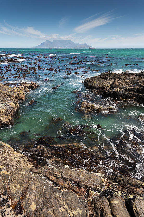View Of Cape Town Photograph by Paul Indigo