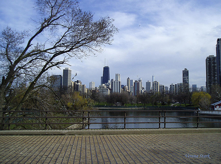 View of Chicago Photograph by Verana Stark