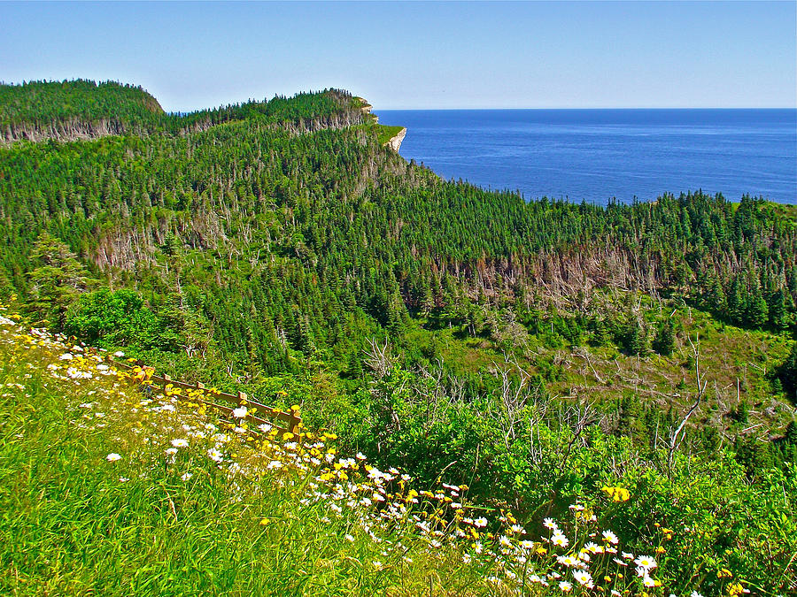 View of Coast from Cap Gaspe in Forillon National Park, Quebec Photograph by Ruth Hager