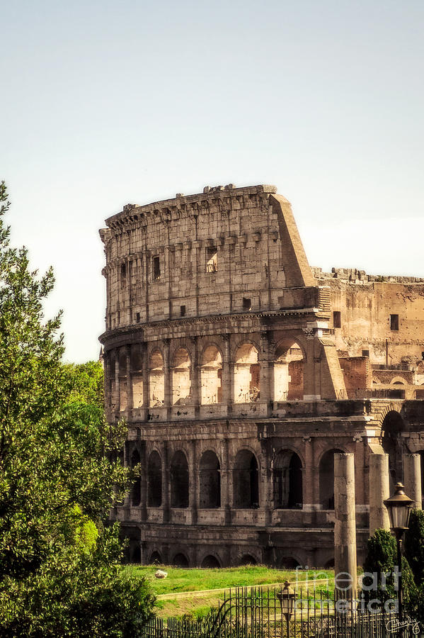 Architecture Photograph - View of Colosseum by Prints of Italy