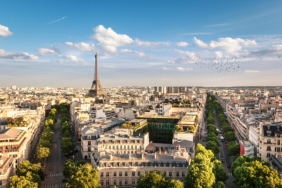 View of Eiffel Tower between trees, Paris, France Photograph by ElOjoTorpe