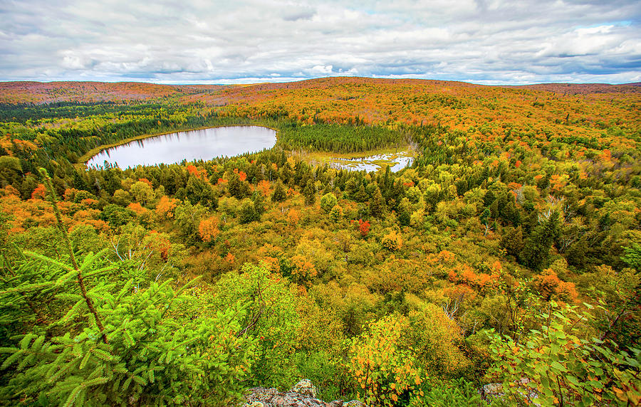 View Of Forest And Lake, Oberg Mountain Photograph by Jeffrey Phelps ...