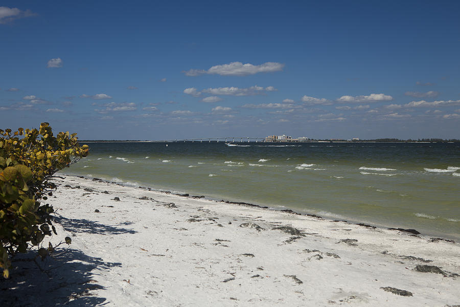 View of Fort Myers from Sanibel Island Photograph by Jiayin Ma | Fine ...