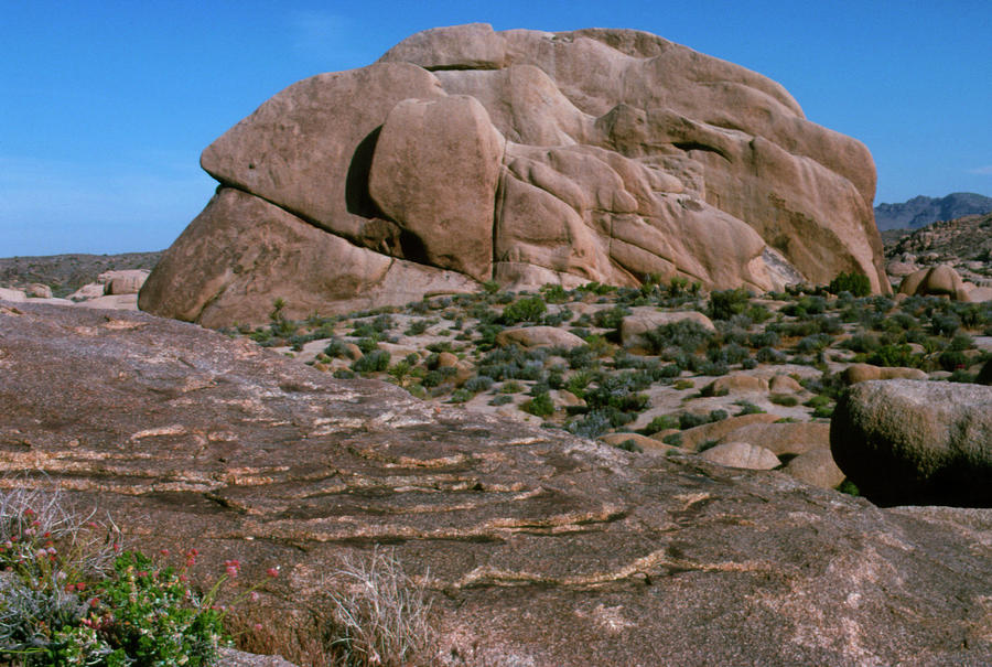 View Of Granite Rock Undergoing Exfoliation Photograph by Sinclair Stammers/science Photo Library