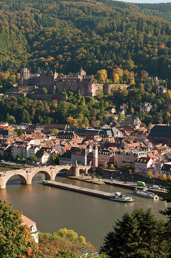 View Of Heidelbergs Old Town, Neckar Photograph by Michael Defreitas View Of Heidelbergs Old Town, Neckar Photograph by Michael Defreitas