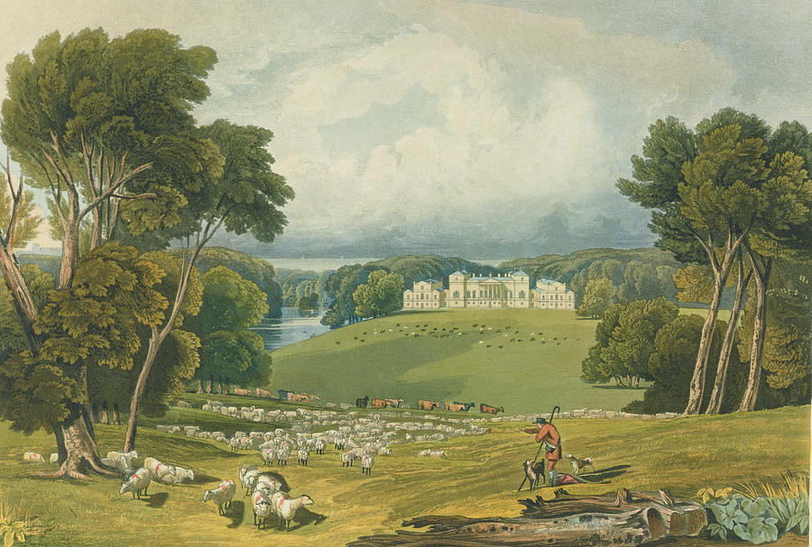 Sheep Drawing - View Of Holkham Hall, Norfolk, Engraved by Elizabeth Blackwell