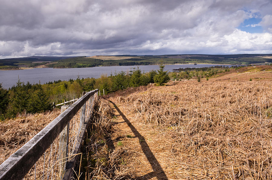 View of Kielder Water Photograph by David Head - Fine Art America