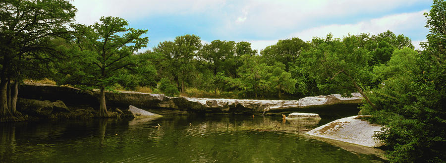 Austin Photograph - View Of Lake With Trees At Mckinney by Panoramic Images