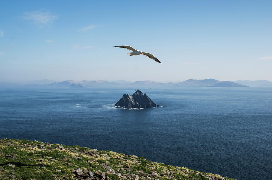 View Of Little Skellig From Skellig Photograph by James Sparshatt / Design Pics