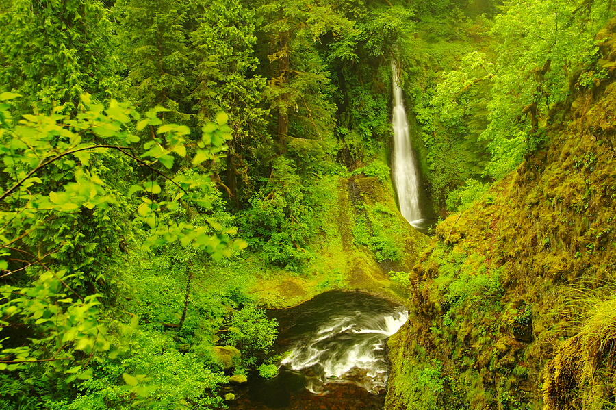 View of Loowit Falls Photograph by Jeff Swan