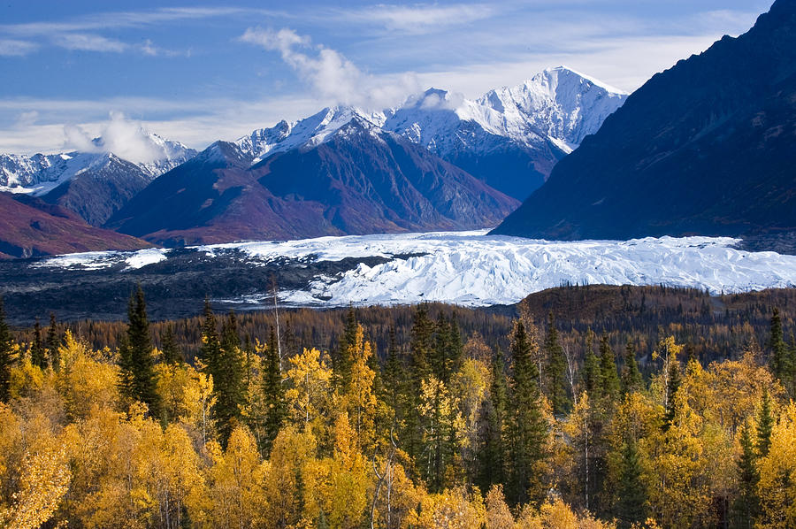 View Of Matanuska Glacier With Golden Photograph by Carl Johnson