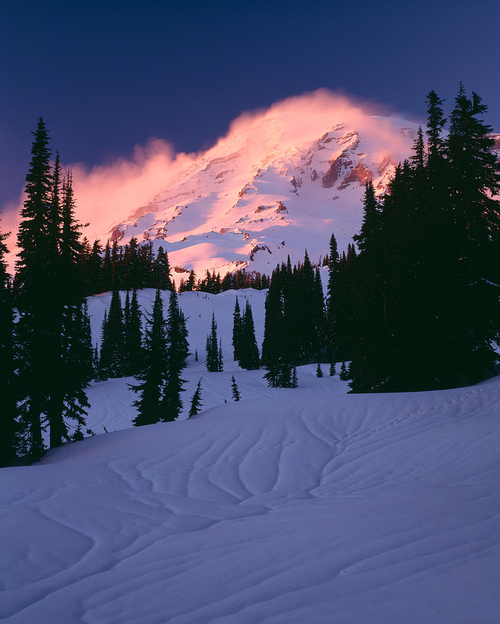 Nature Photograph - View Of Mt Rainier In Winter, Mt by Panoramic Images