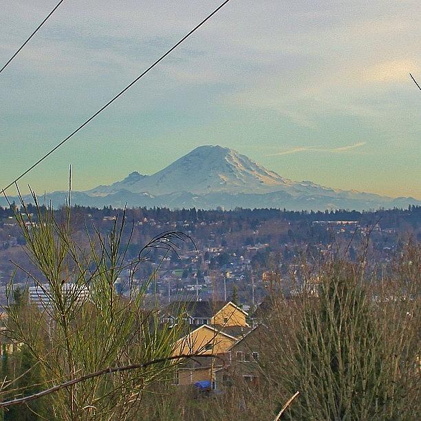 Repost Photograph - View Of Mt. Rainier Seattle Washington by Tony Castle