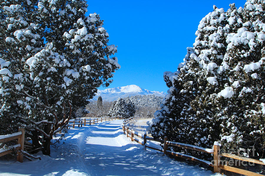 View of Pikes Peak with Fresh Snow at Garden of the Gods Photograph by JD Smith