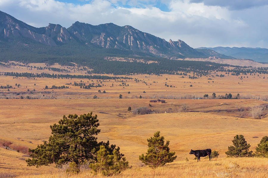 View Of Ranch Photograph by Natalia Kochina