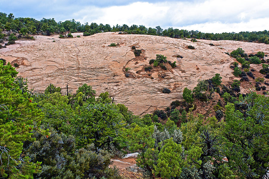 Mesa Verde National Park Photograph - View of Rock Dome Surface from Sandal Trail across the Canyon in Navajo National Monument-Arizona by Ruth Hager