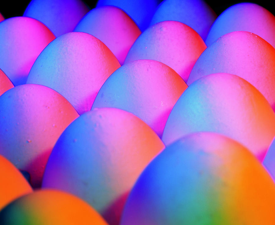 View Of Rows Of Chicken Eggs Photograph by Martin Bond/science Photo Library