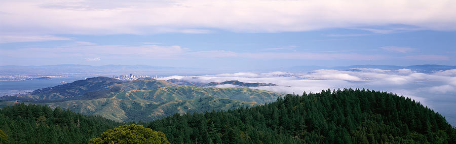 Nature Photograph - View Of San Francisco From Mt by Panoramic Images