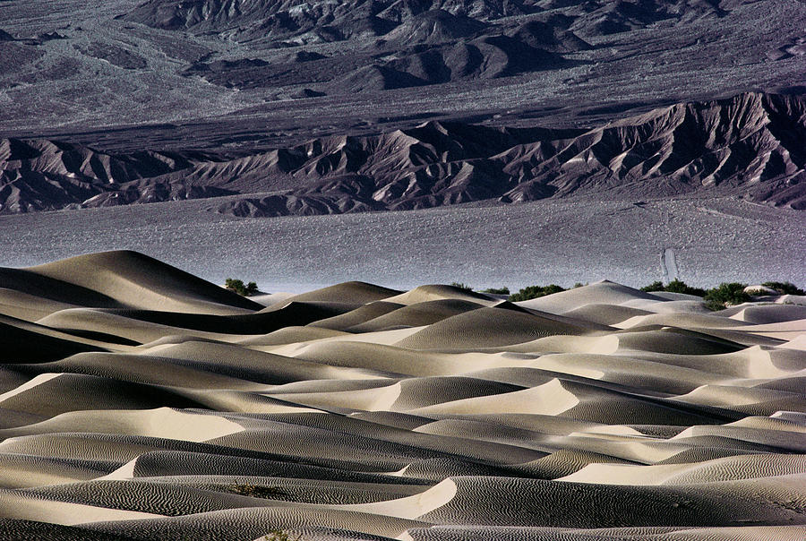 View Of Sand Dunes In Death Valley Photograph by Peter Menzel/science Photo Library
