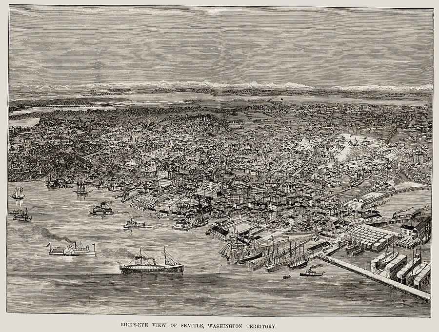View Of Seattle, 1889 Painting by Granger