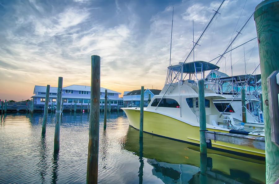 View of Sportfishing boats at Marina Photograph by Alex Grichenko