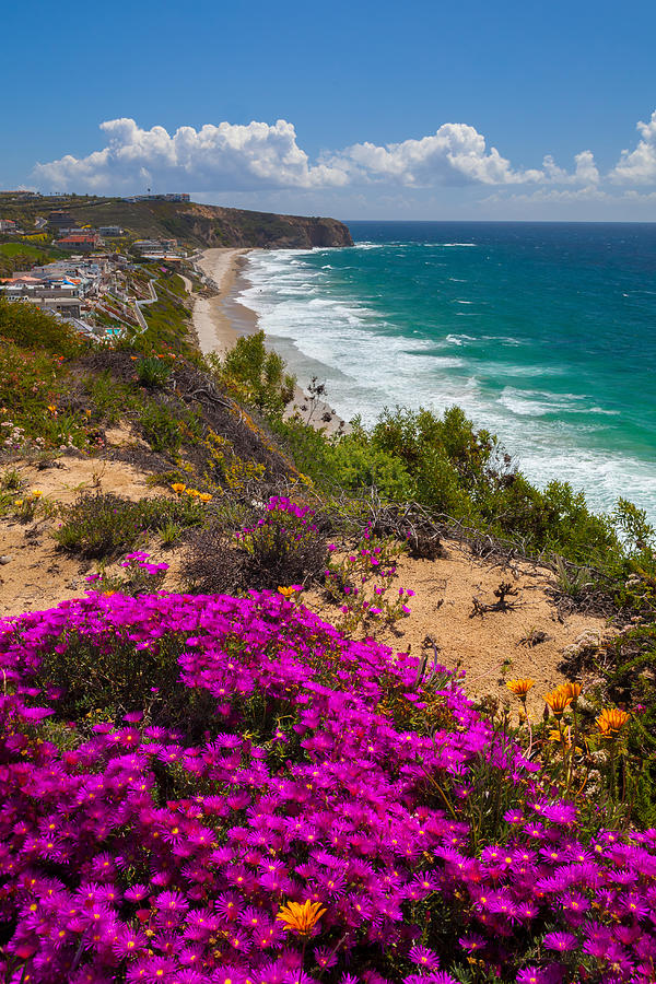 View of Strand Beach and Dana Point Headland Photograph by Cliff Wassmann